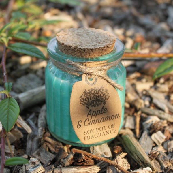 Hygge Sojawachs-Duftkerze im Topf – Apple & Cinnamon Soy Pot of Fragrance Kerze – Ansicht 2